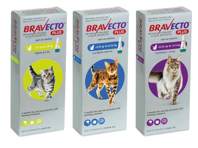 bravecto plus spot on chat 1.2-2.8kg 1 pip (jaune)