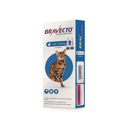 bravecto-250mg-spot-chat-28-625k-2pip